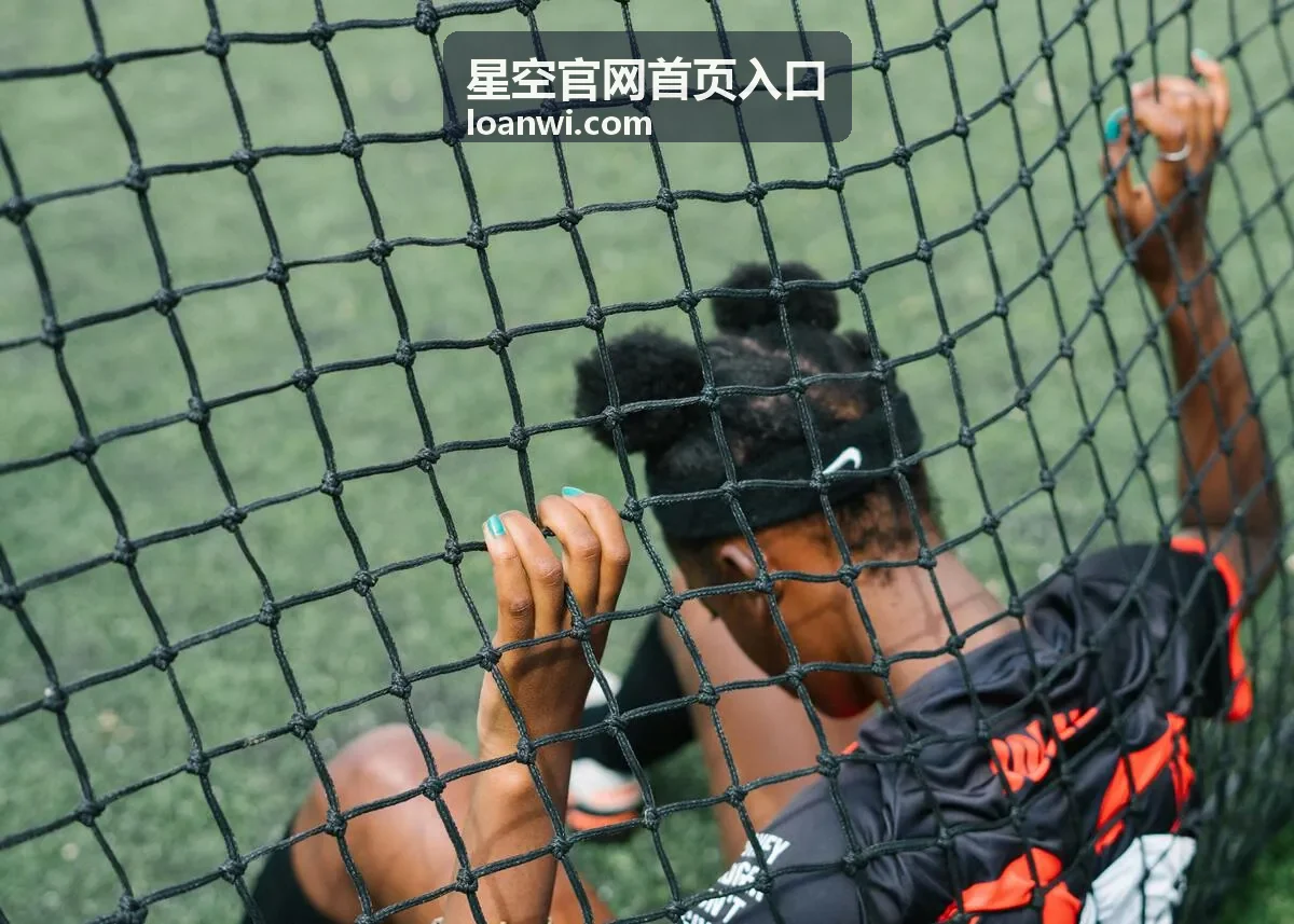 星空官网首页入口栏目分区速览画面